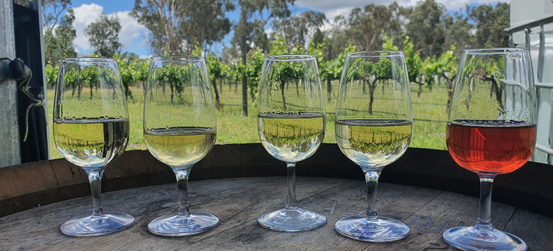 Glasses of wines